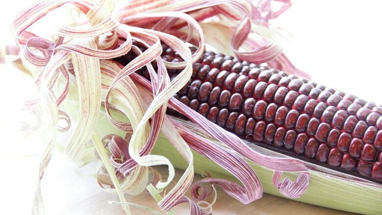 大和ルージュ（提供：株式会社大和農園）