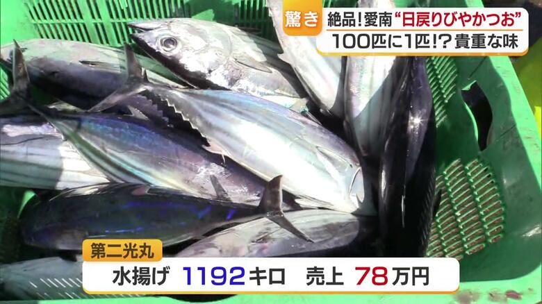 満足はできないが利益の出る水揚げに