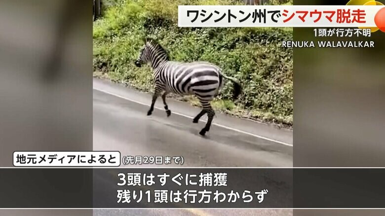 29日まで1頭の行方がわかっていないという