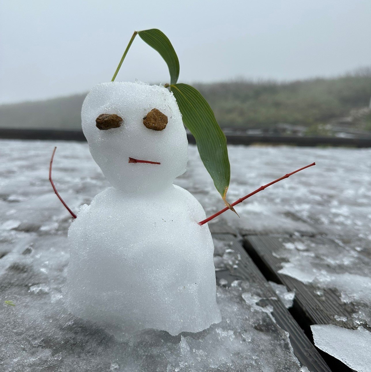 初雪 