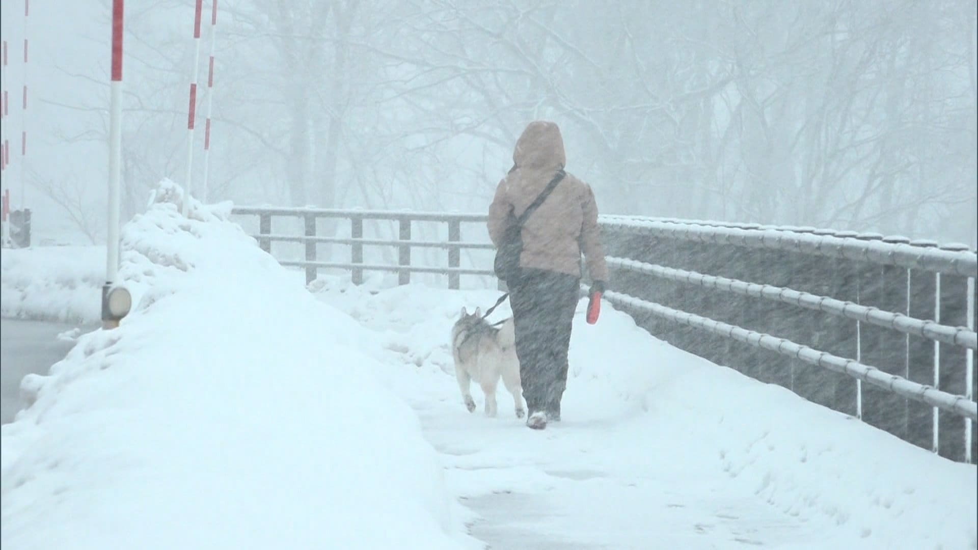 12日も大雪や“台風並み”暴風続く見込み　強風で「神戸ルミナリエ」一部が倒壊