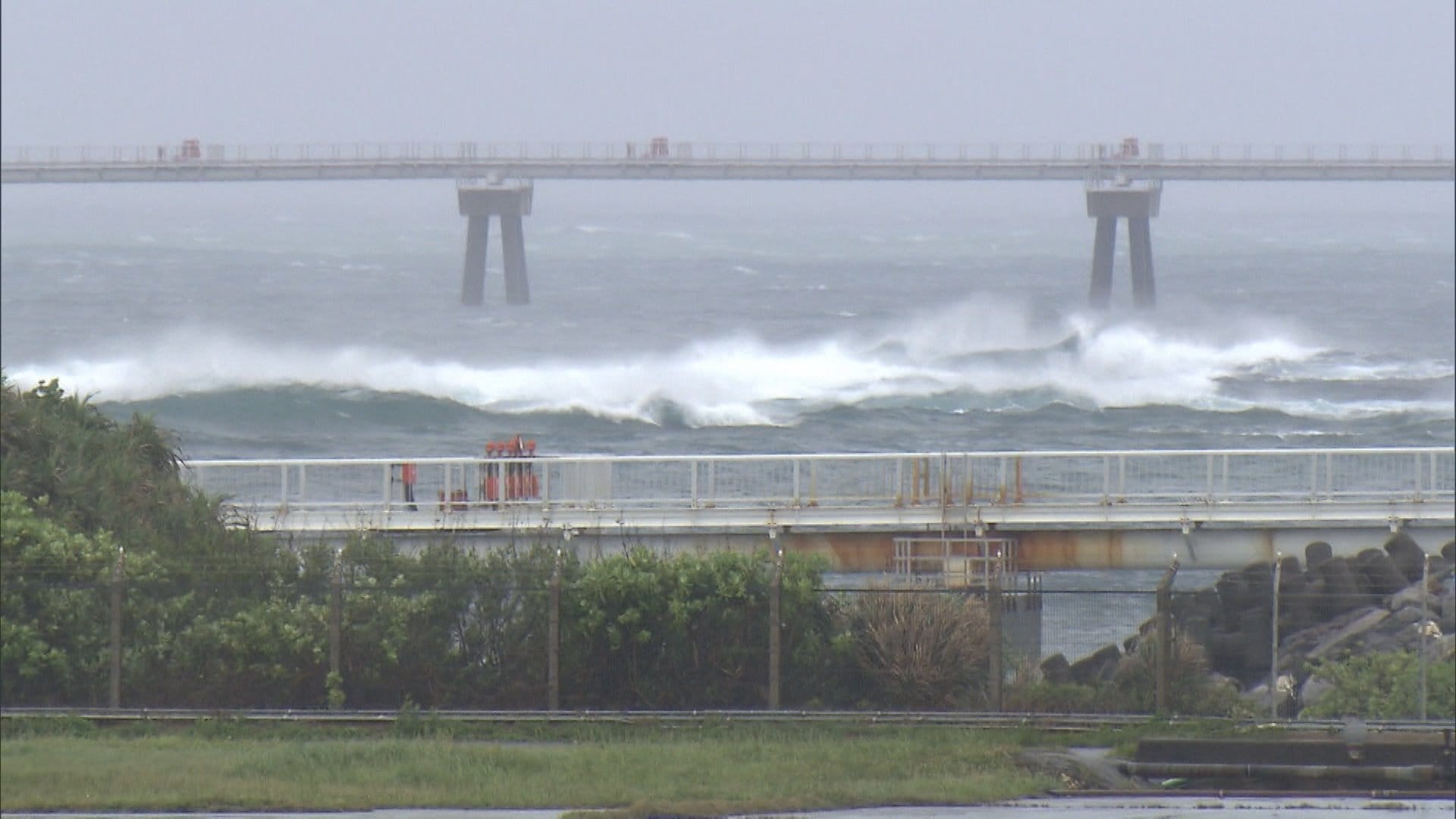 台風6号　沖縄で3万戸以上停電　那覇、宮古、石垣で空港全便欠航　2日に鹿児島・3日に関東接近へ