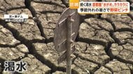 「過去最低レベル」首都圏最大ダムが渇水で“観光放流”見送り、湖底の道路むき出し　原油高騰で野菜もピンチ…農業資材が品薄・高騰