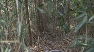 山林54歳女性遺体は窒息死か…殺人事件で捜査　肋骨骨折や首など皮膚めくれた痕　自宅に財布や携帯電話　茨城・つくば市