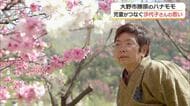“ハナモモの郷”を守り20年…大野市勝原に嫁いだ一人の女性　遺志をついだ地元小学生との知られざる交流　福井