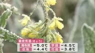 寒の戻り　湯布院で氷点下5度を観測　観光客「今ギリギリ」朝の冷え込みは13日まで続く見込み　大分
