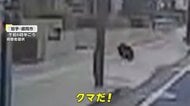 各地でクマ目撃・捕獲 岩手・盛岡市中心部の銀行駐車場に子グマ、広島市にも 秋田県知事は捕獲支援のため自衛隊派遣を要請