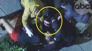 レディー・ガガさんの愛犬 なぜ 散歩中連れ去られる