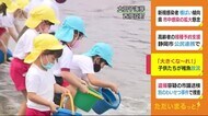 「大きくな~れ」子供たちが稚魚を放流 カサゴやヒラメ400匹 静岡・西伊豆町