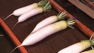 【なぜ】「かわいいサイズになっちゃった」おでんの“主役”大根に異変　12月の小雨と乾燥で“小型化”出荷できないケースも…農家「大根自体出来はいいけど…」嘆きの声