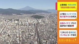 なぜ? 去年の企業倒産が2番目の低水準 一方で倍増する業種も 静岡県内