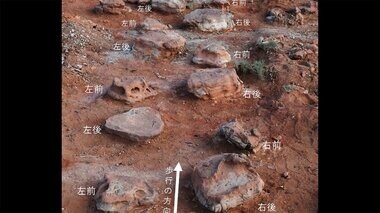貴重な化石を一気に発見　大型恐竜の“足跡”　モンゴルで初　岡山理科大などの調査隊