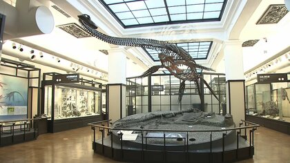 【速報】早くも6000万円超！資金不足で１億円のクラファン開始の国立科学博物館に支援申し込み殺到