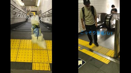 「後ろにおったーー！」仕事帰りの飼い主を待つ愛犬に“イタズラ”で背後から登場…大喜びする姿が可愛すぎる！