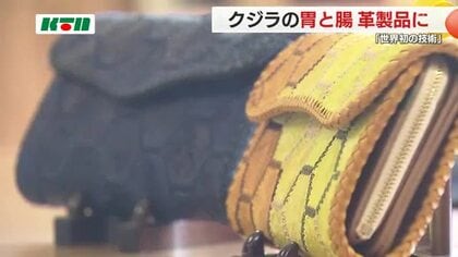 世界初！クジラの内臓を鞣して「革製品」に 受注生産で財布や名刺入れに　余すことなく活用して貢献