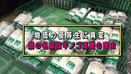 【なぜ？】 “物価の優等生”キノコが値上がり鍋ピンチ！？　 生産者｢コストが上がり優等生じゃない…｣
