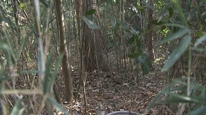 山林54歳女性遺体は窒息死か…殺人事件で捜査　肋骨骨折や首など皮膚めくれた痕　自宅に財布や携帯電話　茨城・つくば市