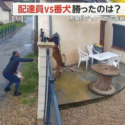 配達員VS番犬　 荷物を届けたいが…驚異のジャンプ力で威嚇される　一瞬の隙をつき宅配ボックスへ　フランス