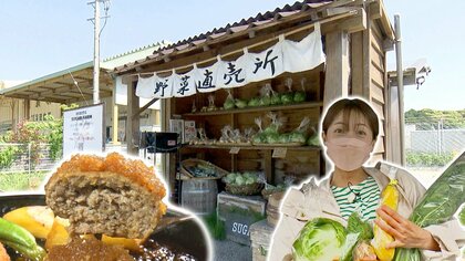 肉汁たっぷり！自慢の手作りハンバーグ＆全品100円の新鮮野菜　こだわりの無人販売を調査【静岡発】