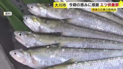 夏の風物詩「エツ」の供養祭　筑後川の恵みに感謝　この10年は漁獲量が減少　来年の豊漁を祈願　福岡・大川市