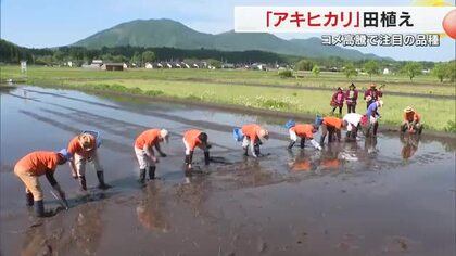 コメ価格高騰で消費者などから注目　田植え歌の演奏に合わせ…真庭市蒜山で「アキヒカリ」の田植え【岡山】