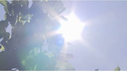 参院選は今のところ与党過半数確保の見通しだが、大停電が起きればひっくり返るのだろうか