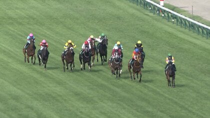 【新潟記念＆中京2歳S・GⅢ】 2025　夏競馬フィナーレ　GⅠ馬含む重賞馬9頭が激突！