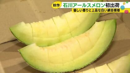 猛暑でも「満足いく出来」　石川アールスメロンの秋出荷が始まる