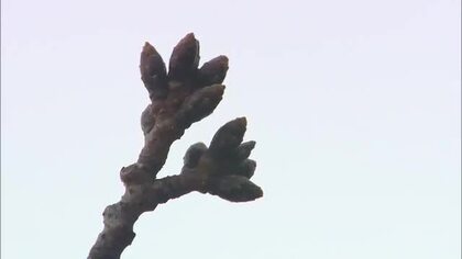 ≪27日の新潟県≫雲が広がるも気温上昇 広く4月上旬～中旬並みの陽気に 雪崩に注意