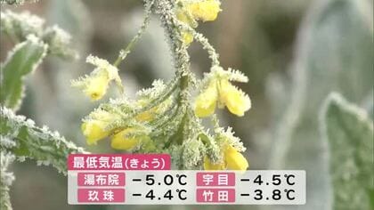 寒の戻り　湯布院で氷点下5度を観測　観光客「今ギリギリ」朝の冷え込みは13日まで続く見込み　大分