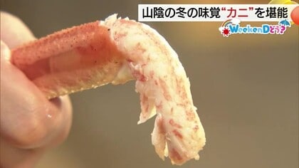 【WeekenDどう？】松葉がにシーズン到来！豪華海鮮盛りセットなど松江で山陰の味覚を堪能