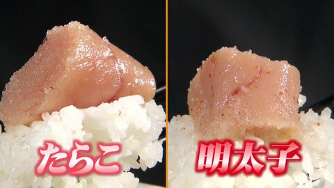 実は「たらこ」の方が良い原料！？「明太子」との“違い”を徹底調査　語源は一緒…でも漬け込む調味料と“長さ”に秘密が　　