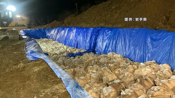 59％33万羽余り殺処分完了、鳥インフル確認の金ケ崎町の養鶏場 県が