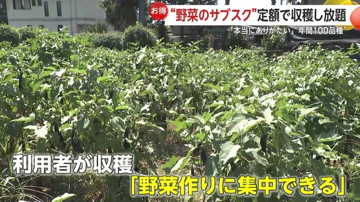 農園側にもメリットが