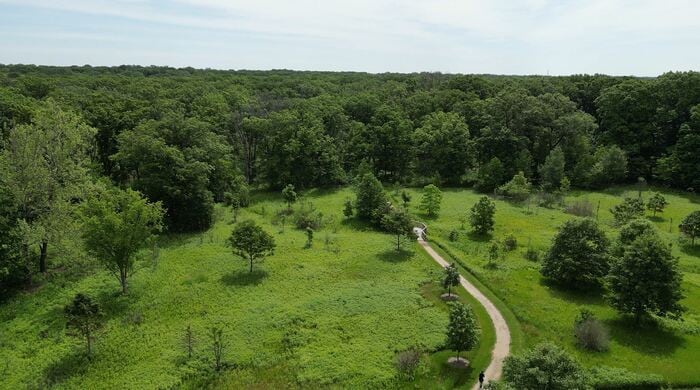 州北部の広大な保護区「Edward L. Ryerson Conservation Area」