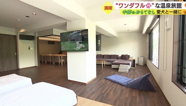 ワンちゃん仕様に改装した特別室
