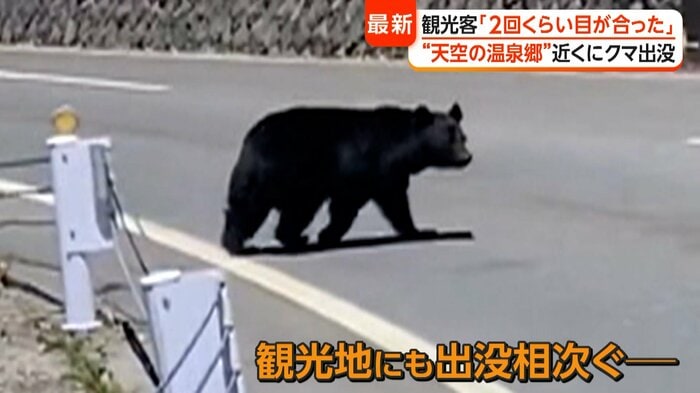 クマの出没が相次いでいる観光地（青江亜希さん）