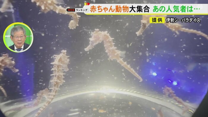 ニュースONE