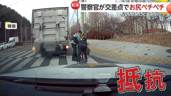 抵抗するブタをトラックに誘導する人たち(提供:慶南地方警察庁)
