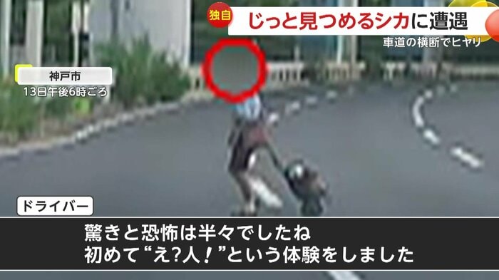 横断歩道もない場所を渡っていた男性(FNN投稿サイト「ビデオPost」)