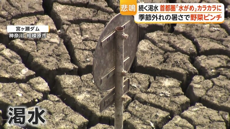 「過去最低レベル」首都圏最大ダムが渇水で“観光放流”見送り、湖底の道路むき出し　原油高騰で野菜もピンチ…農業資材が品薄・高騰｜FNNプライムオンライン