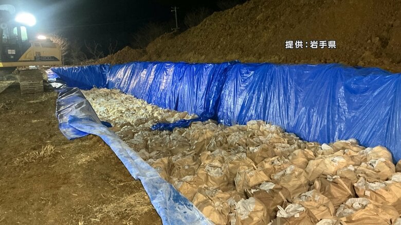 59％33万羽余り殺処分完了、鳥インフル確認の金ケ崎町の養鶏場　県が防疫措置費用10億5600万円の補正予算案提出へ　岩手県｜FNNプライムオンライン