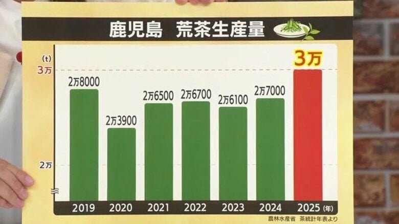 鹿児島が2年連続で“日本一”に　荒茶生産量3万トン突破、「かごしま茶」が変える国内のお茶市場｜FNNプライムオンライン