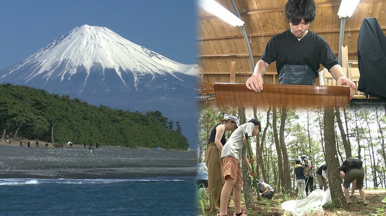 大敵「枯れ松葉」が伝統技能で華麗に変身！ 未来の景観を守る富士山世界遺産とのコラボ【静岡発】｜FNNプライムオンライン