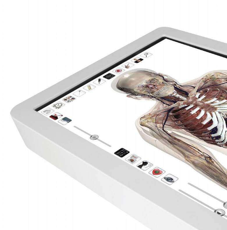 Anatomage「3D技術で解剖学と生理学の最難解トピックスを概念化」を無料公開
