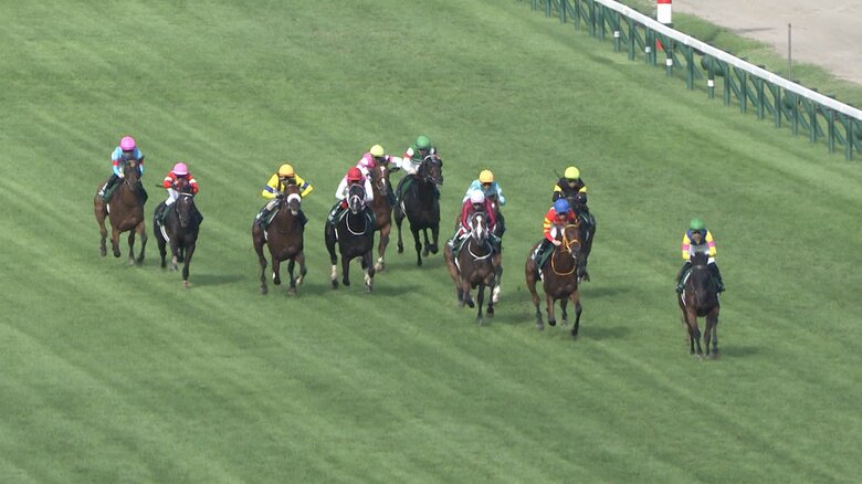 【新潟記念S＆中京2歳S・GⅢ】 2025　夏競馬フィナーレ　GⅠ馬含む重賞馬9頭が激突！&lt;br /&gt;&lt;br /&gt;｜FNNプライムオンライン