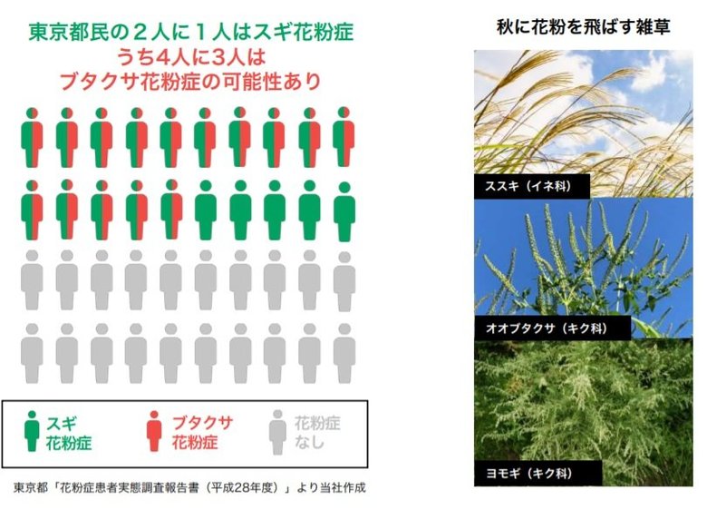 春だけじゃない 秋の 隠れ花粉症 にも要注意 今年は例年の10倍の飛散量 対策を聞いた 春だけじゃない 秋の 隠れ花粉症 にも要注意 今年は例年の10倍の飛散量 対策を聞いた