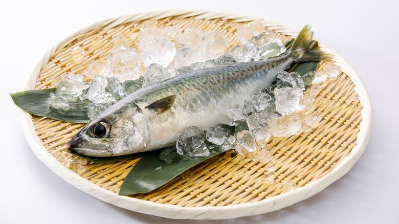今回のサバは「うめぇとろサバ」として出荷・販売もされる(提供:ドコモ)