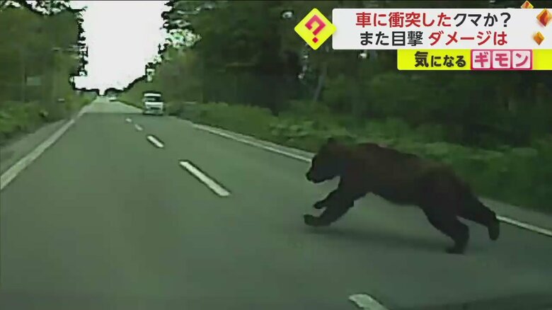 道路に飛び出してくるクマ(視聴者撮影)