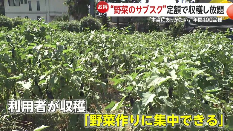 農園側にもメリットが